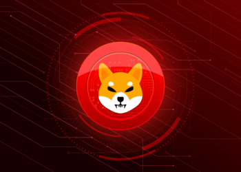 Özel Ambulans Şirketi Vita Plus: Shiba Inu ile Ödeme Kabul Ediyoruz