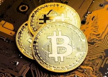 Popüler Analistten Bitcoin Yorumu: BTC Bu Yıl 100.000 Doları Geçer mi?