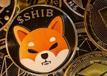 Shiba Inu Kendi Metvarse’ünü mü Oluşturacak?