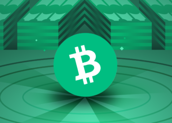 St. Maarten Bitcoin Cash’i Yasal Olarak Kabul Edecek mi?