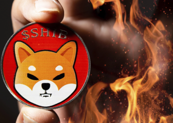 Shiba Inu Severler SHIB Token Yakmaktan Vazgeçmiyor!
