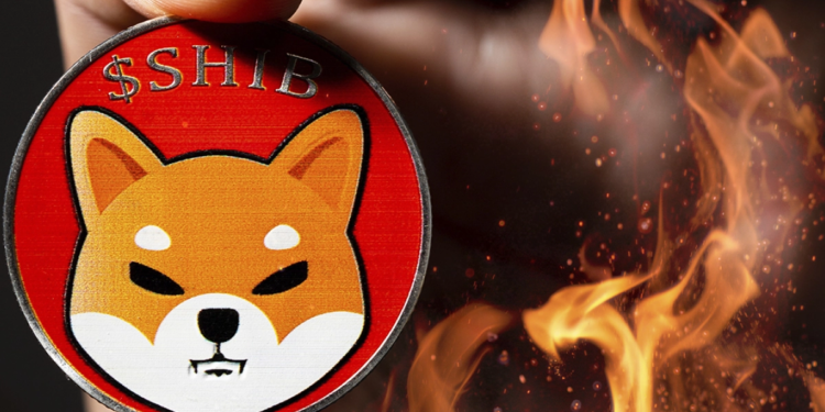 SHIB Topluluğu Shıba Inu Token Yakmaya Devam Ediyor 1 Shiba Inu Severler SHIB Token Yakmaktan Vazgeçmiyor!
