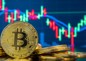 Bitcoin’in Volatilitesi Azalacak mı? İşte Pantera Capital CEO’sunun Yorumları!