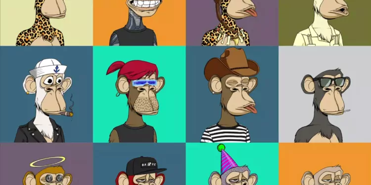 Bored Ape Yacht Club’ın Animasyon Filmi Yayınlanacak!