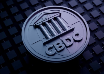 Brezilya’dan CBDC’si Kararı!