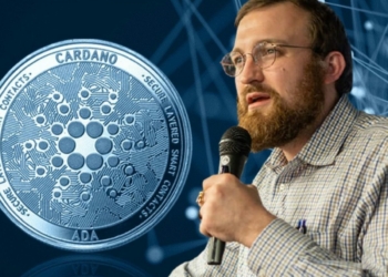 Cardano Kurucusu Hoskinson’dan Bitcoin Açıklaması!