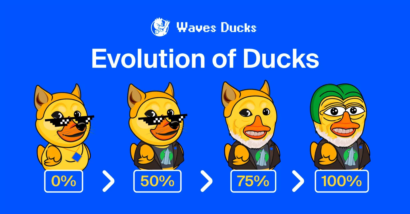 Waves Ducks ile Bir Yıl! duck
