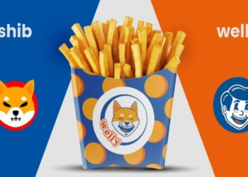 Welly, SHIB Yakmaya Başlayacak!