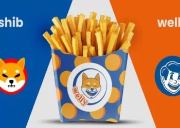 Welly, SHIB Yakmaya Başlayacak!