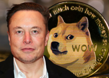 Elon Musk, Billy Markus’un Fikirlerini Yorumladı