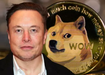 Elon Musk, Billy Markus’un Fikirlerini Yorumladı