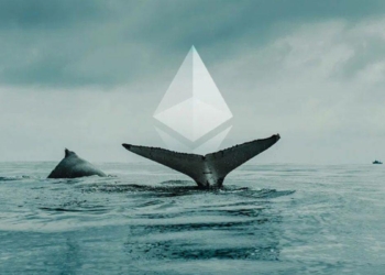 Ethereum Balinaları Shiba Inu ve FTX Token Tutuyor!