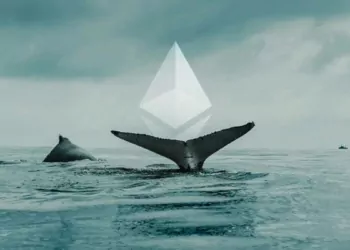 Ethereum Balinaları Shiba Inu ve FTX Token Tutuyor!