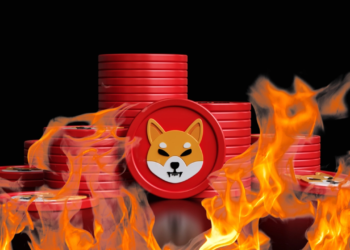 Shiba Inu Ordusu Token Yakımına Devam Ediyor