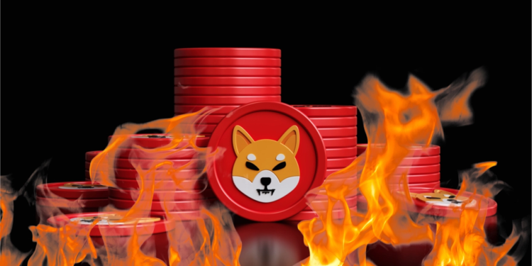 Shiba Inu Ordusu Token Yakımına Devam Ediyor 1 Shiba Inu Ordusu Token Yakımına Devam Ediyor