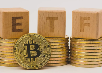 VanEck CEO’su Yakın Zamanda Bitcoin ETF Onayı Beklemiyor!