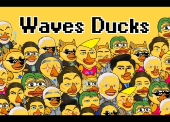 Waves Ducks ile Bir Yıl!