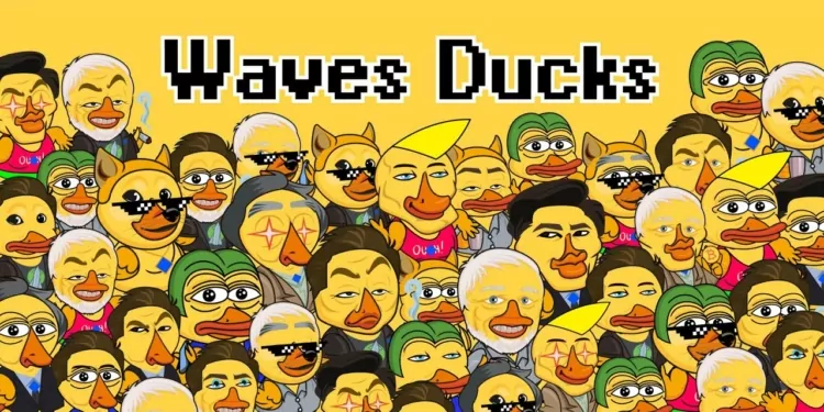 Waves Ducks ile Bir Yıl! 1 Waves Ducks ile Bir Yıl!