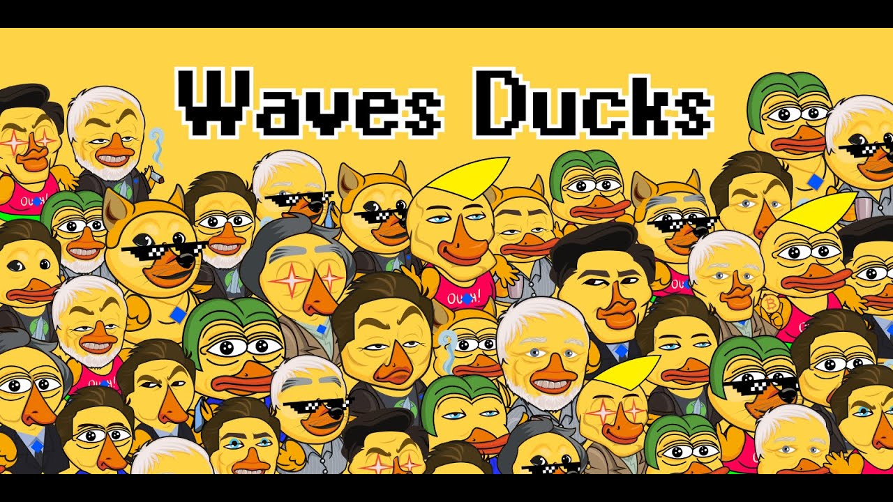 waves ducks ile bir yıl! waves ducks ile bir yil