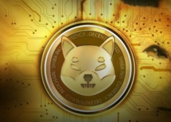 Shiba Inu’nun Stabil Kripto Parası SHI Tamamlanmak Üzere