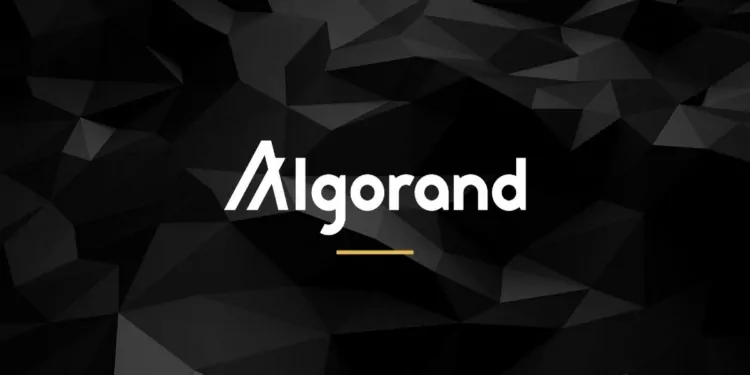 ALGO Kurucusundan Kripto Dünyasına Dair Tahminler!