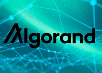 Anthony Scaramucci’den Algorand’e Büyük Yatırım!