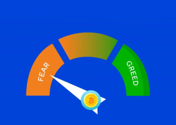 Bitcoin Korku ve Açgözlülük Endeksi: Aşırı Korku!
