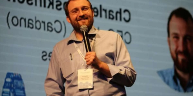 Charles Hoskinson: Ayı Piyasasındayız