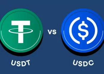 USDC mi USDT mi, Kripto Balinaları Hangisini Tercih Edecek?