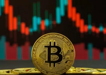 Kripto Piyasasında Son Durum!