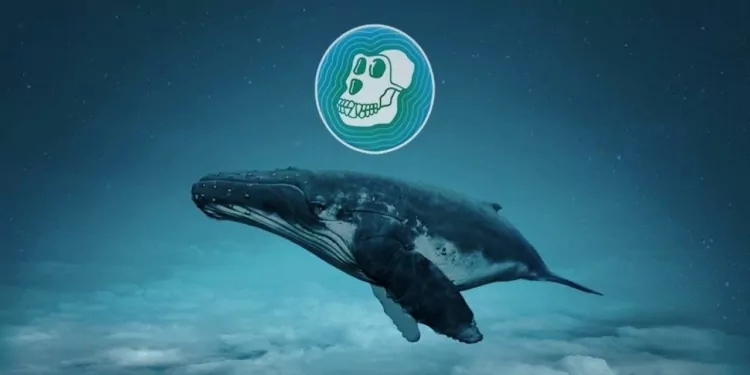 Ethereum Balinası Yüklü Miktarda ApeCoin Satın Aldı! 1 Ethereum Balinası Yüklü Miktarda ApeCoin Satın Aldı!