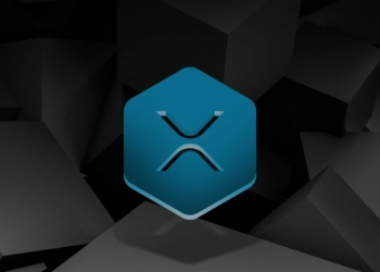 Balinalar XRP Toplamaya Devam Ediyor!