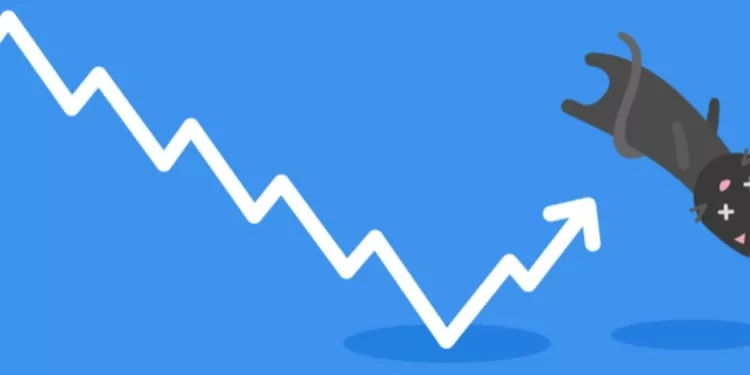 Ölü Kedi Sıçraması Nedir? 1 Ölü Kedi Sıçraması Nedir?