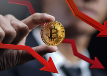 Bitcoin ve Diğer Kripto Paralarının Düşmeye Devam Etme Nedenleri