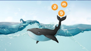 Bitcoin Boğaları Kontrolü Kayıp mı Ediyor? 31