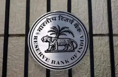 hindistan merkez bankası, kripto paraları finansal varlık yerine koymuyor! 48