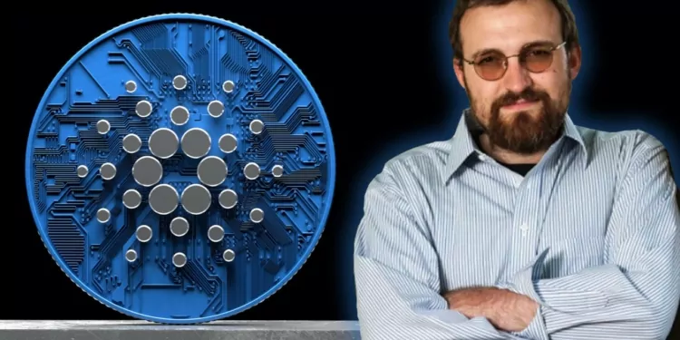 Cardano Kurucusundan Ayı Piyasası Yorumu: Kripto Kışı Rahat Geçiyor!