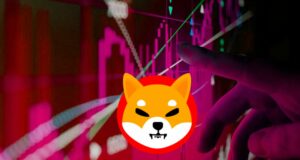 shiba inu balinaları alım hacmi, shib kritik desteğe sahip olduğu için% 640 arttı 25