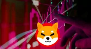Shiba Inu Balinaları Alım Hacmi, SHIB Kritik Desteğe Sahip Olduğu için% 640 Arttı 25