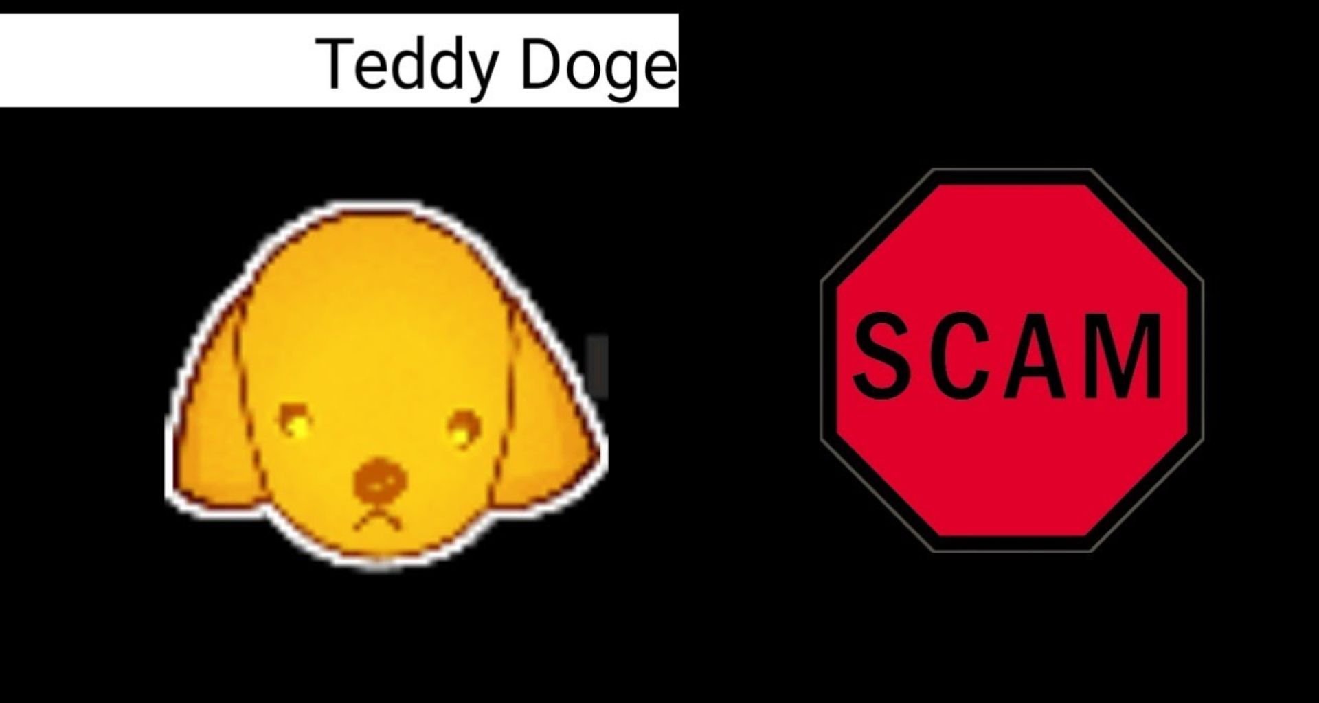 TEDDY Yatırımcıları Rug Pull Şokuyla Karşı Karşıya Kaldı