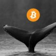 bitcoin balinasından büyük satış! adsiz tasarim 22