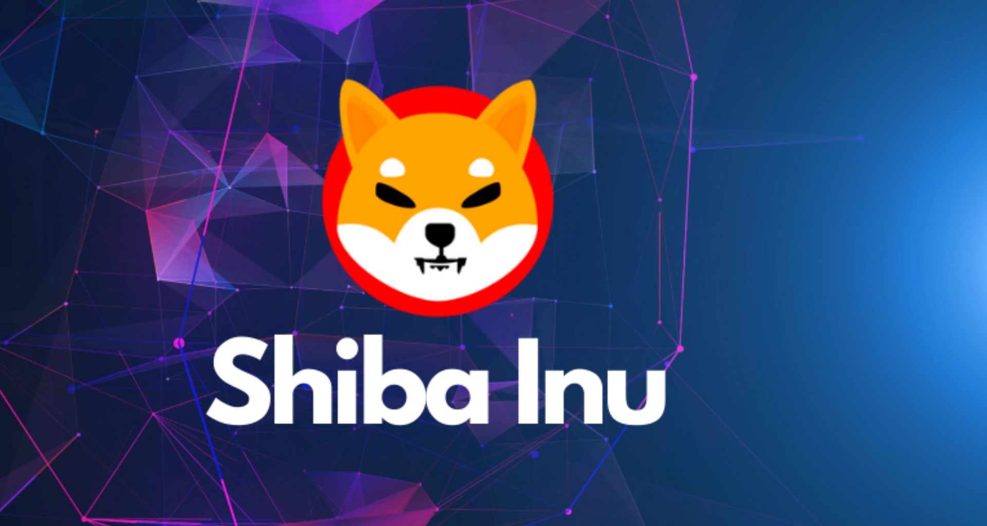 Shiba Inu Popülerliğini Yitiriyor mu? İşte Google Verileri!