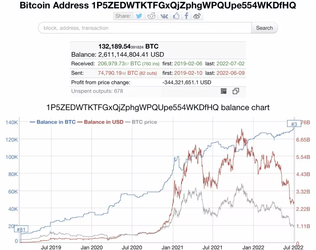 Bitcoin Balinası 787 Bitcoin Daha Aldı! ak