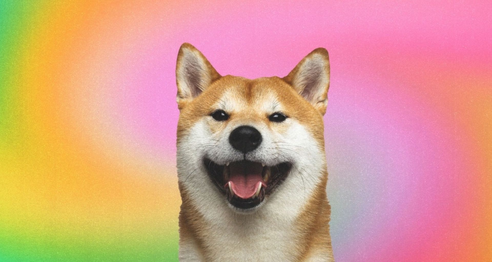 Analistler, SHIB Inu’da Büyük Hareketlilik Bekliyor!