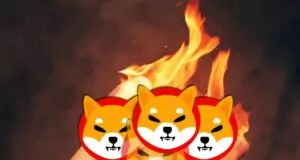 SHIB Yakımları Azaldı! Shiba Inu Bu Durumdan Nasıl Etkileniyor? 20 3