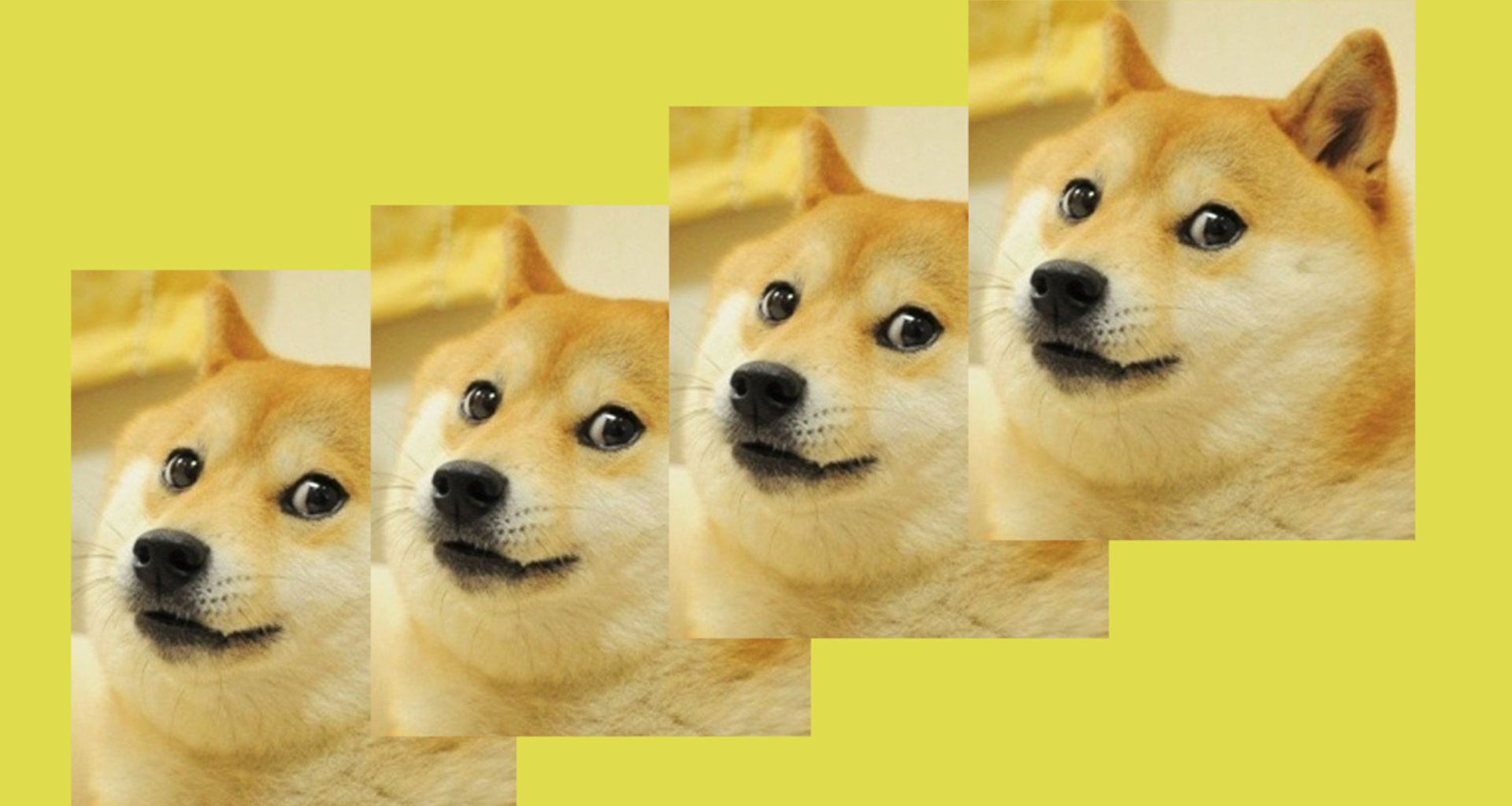 DOGE NFT’ye Degenscore Uygulamasından Destek!