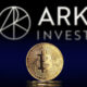 ark invest analistine göre, bitcoin yüzde 240 artış yaşayabilir! 23