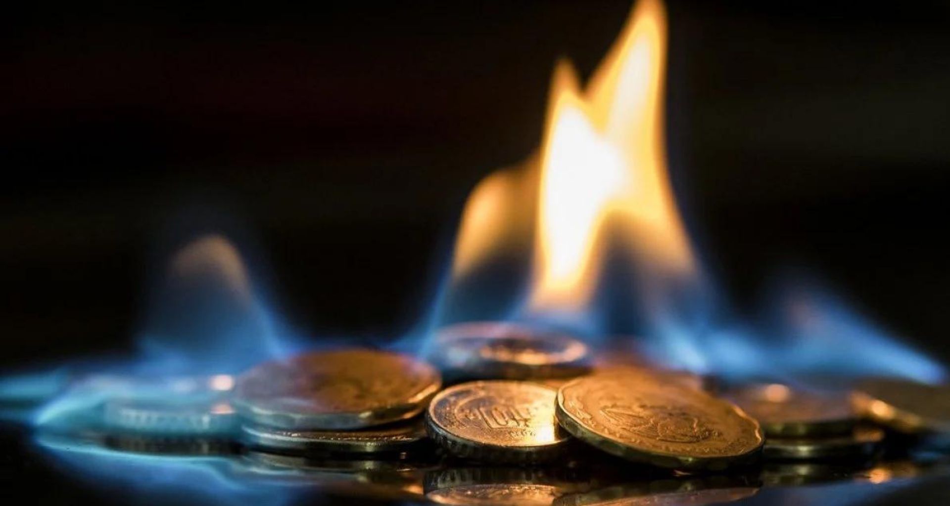 SHIB Yakım Oranı %242,50 Arttı!