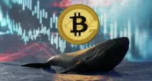 Bitcoin Balinalarının Sayısı Rekor Seviyeye Ulaştı! 39