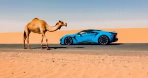 Dünyaca Ünlü Otomobil Üreticisi W Motors Metaverse’e Girmeye Hazırlanıyor! 53